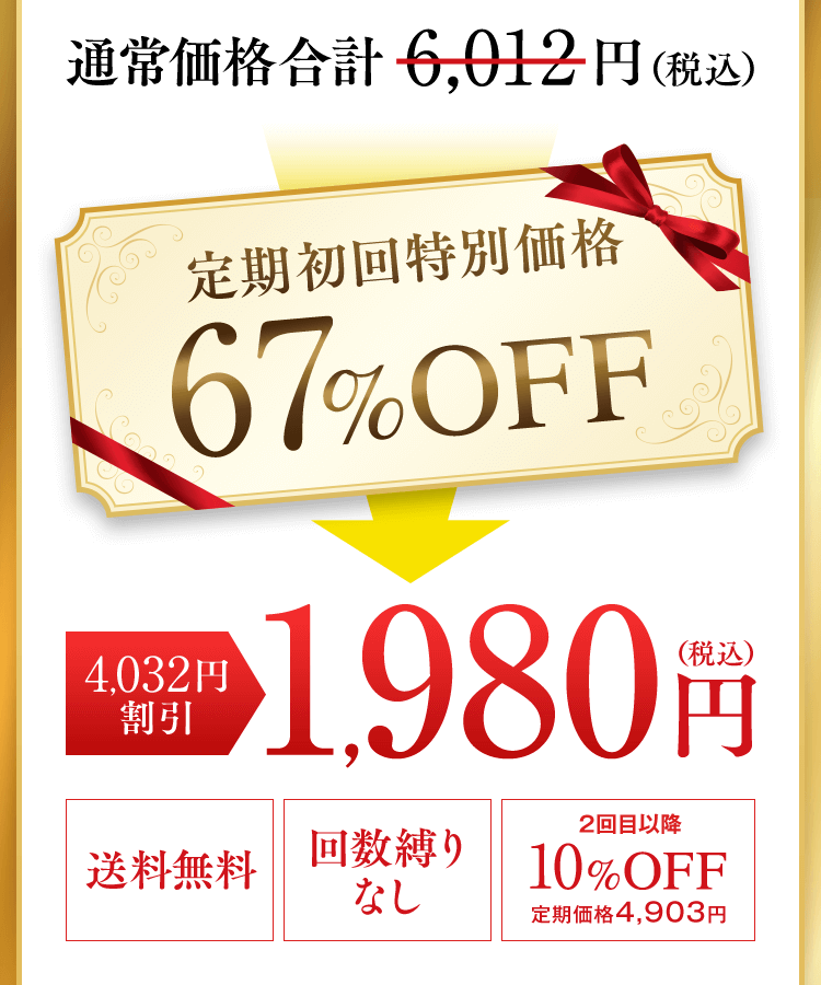定期初回特別価格67%OFF