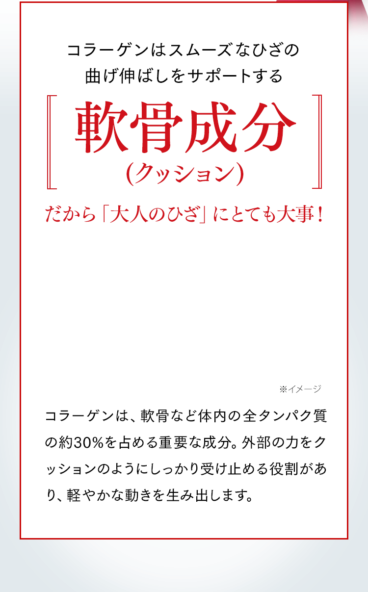 コラーゲンはスムーズなひざの曲げ伸ばしをサポートする軟骨成分