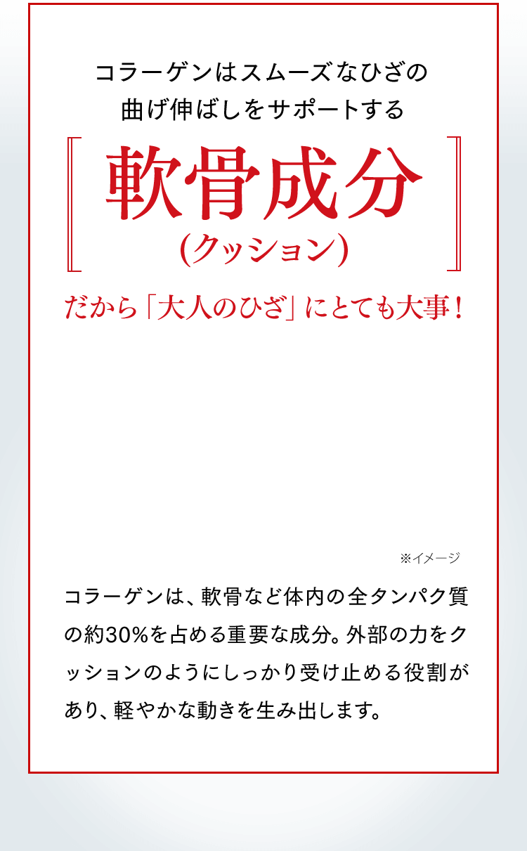 コラーゲンはスムーズなひざの曲げ伸ばしをサポートする軟骨成分