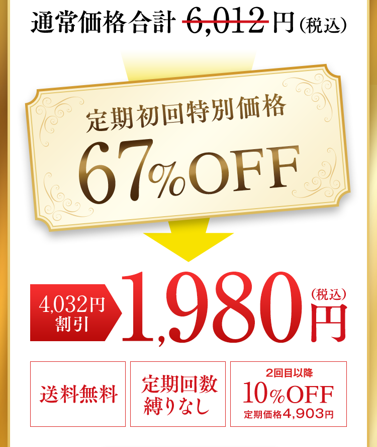 定期初回特別価格67%OFF