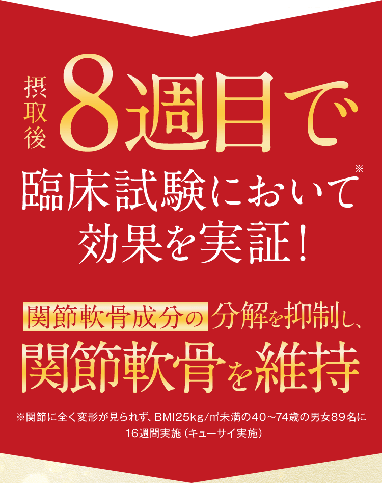 摂取後8週目で関節軟骨成分の分解を抑制し、関節軟骨を維持