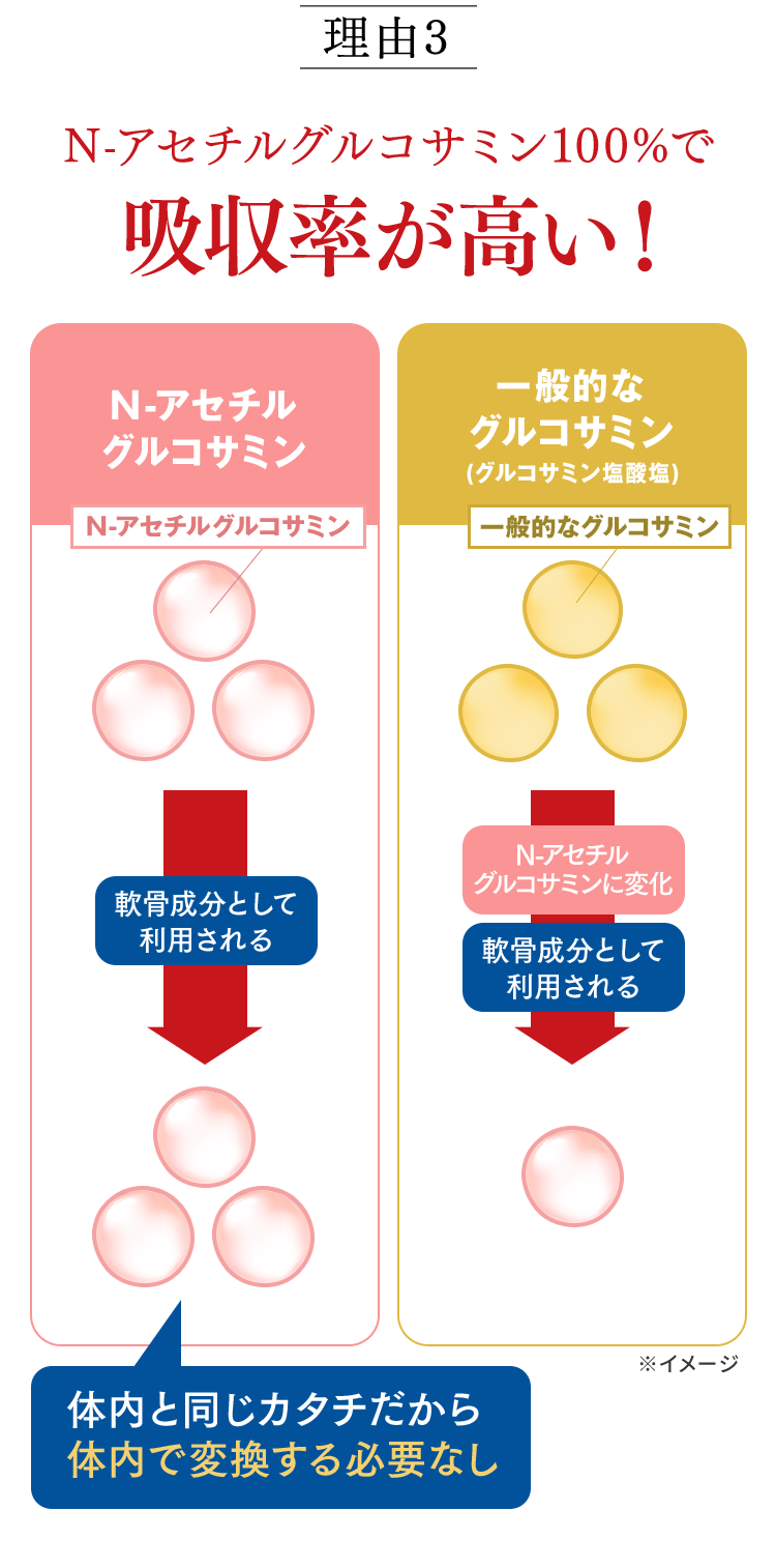 理由３ N-アセチルグルコサミン100%で吸収率が高い！