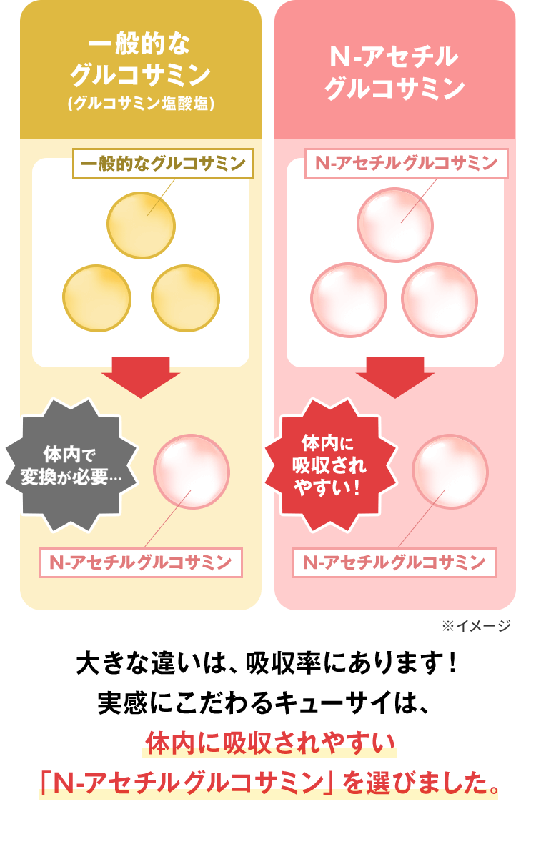 大きな違いは、吸収率にあります！ 実感にこだわるキューサイは、 体内に吸収されやすい 「N-アセチルグルコサミン」を選びました
