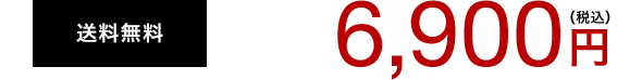 送料無料 6,900円(税込) 