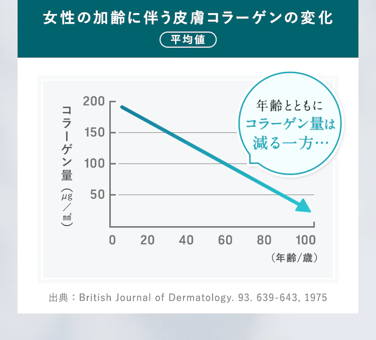 女性の加齢に伴う皮膚コラーゲンの変化