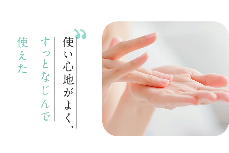 使い心地がよく、すっとなじんで使えた