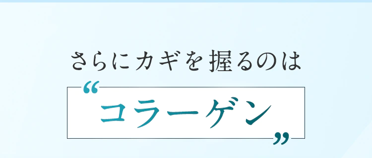 さらにカギを握るのはコラーゲン