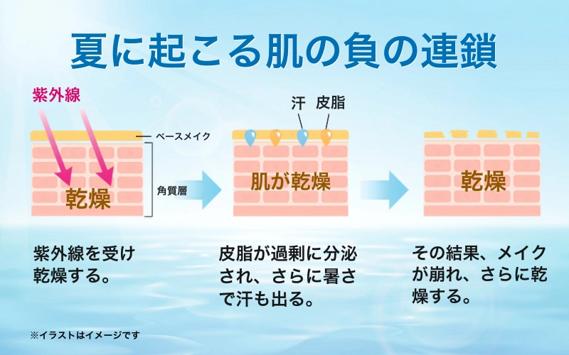 夏に起こる肌の負の連鎖 紫外線を受け乾燥する。 皮脂が過剰に分泌され、さらに暑さで汗も出る。 その結果、メイクが崩れ、さらに乾燥する。