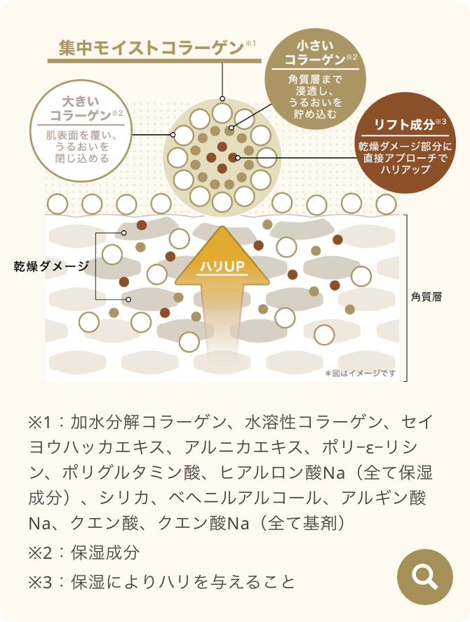 集中モイストコラーゲンのイメージ図