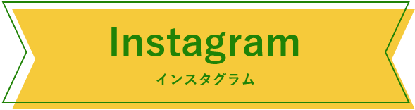 インスタグラム