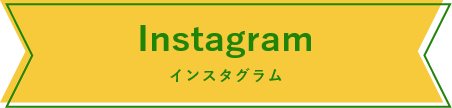 インスタグラム