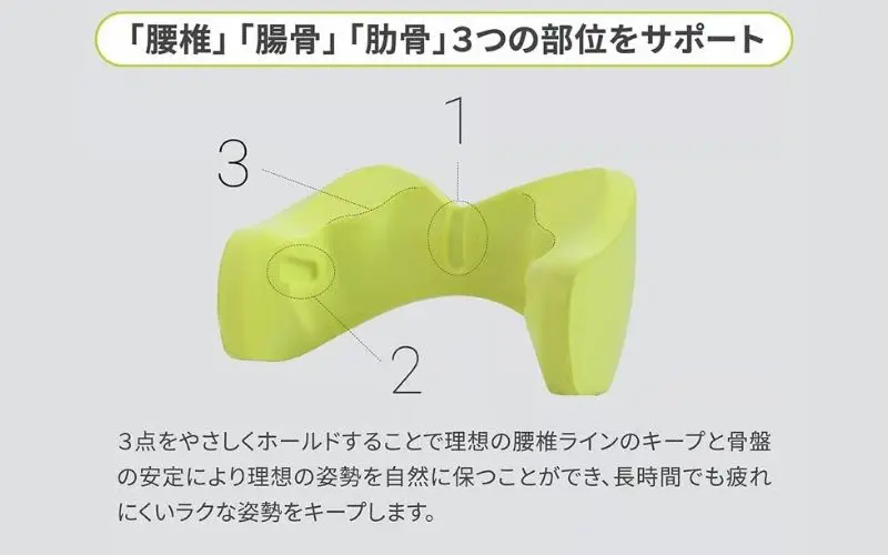 腰椎・腸骨・鋤骨の3つの部分を説明している画像