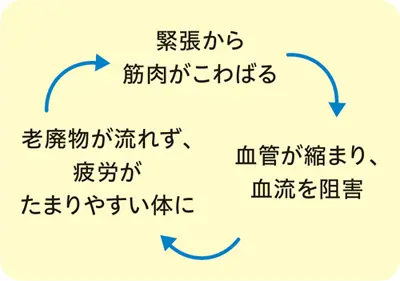 緊張から筋肉がこわばる 老廃物が流れず、疲労がたまりやすい体に 血管が縮まり、血流を阻害