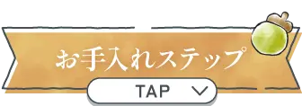 お手入れステップ