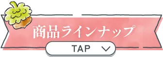 商品ラインナップ