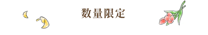 数量限定