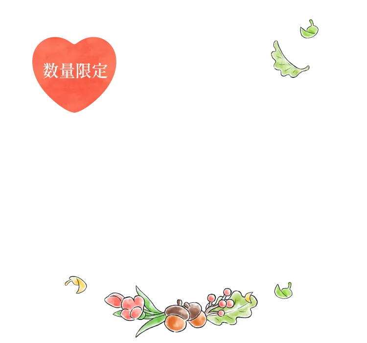 数量限定