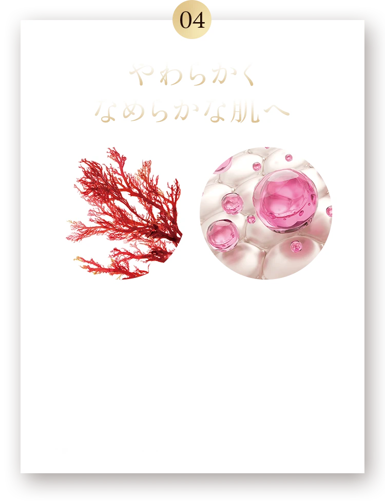 04 やわらかくなめらかな肌へ