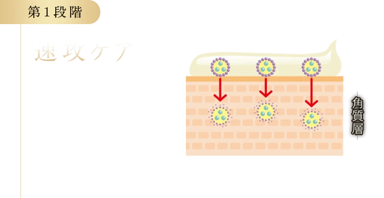 第1段階 速攻ケア