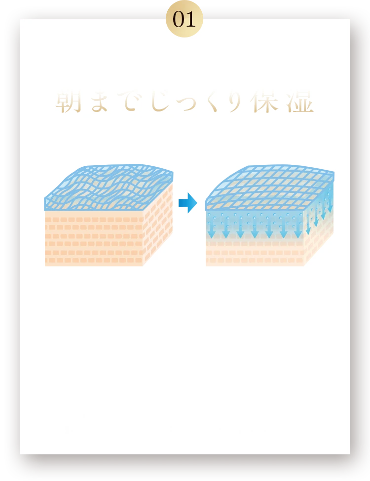 01 段階的に浸透※1する3Dヒアルロン酸※2で朝までじっくり保湿