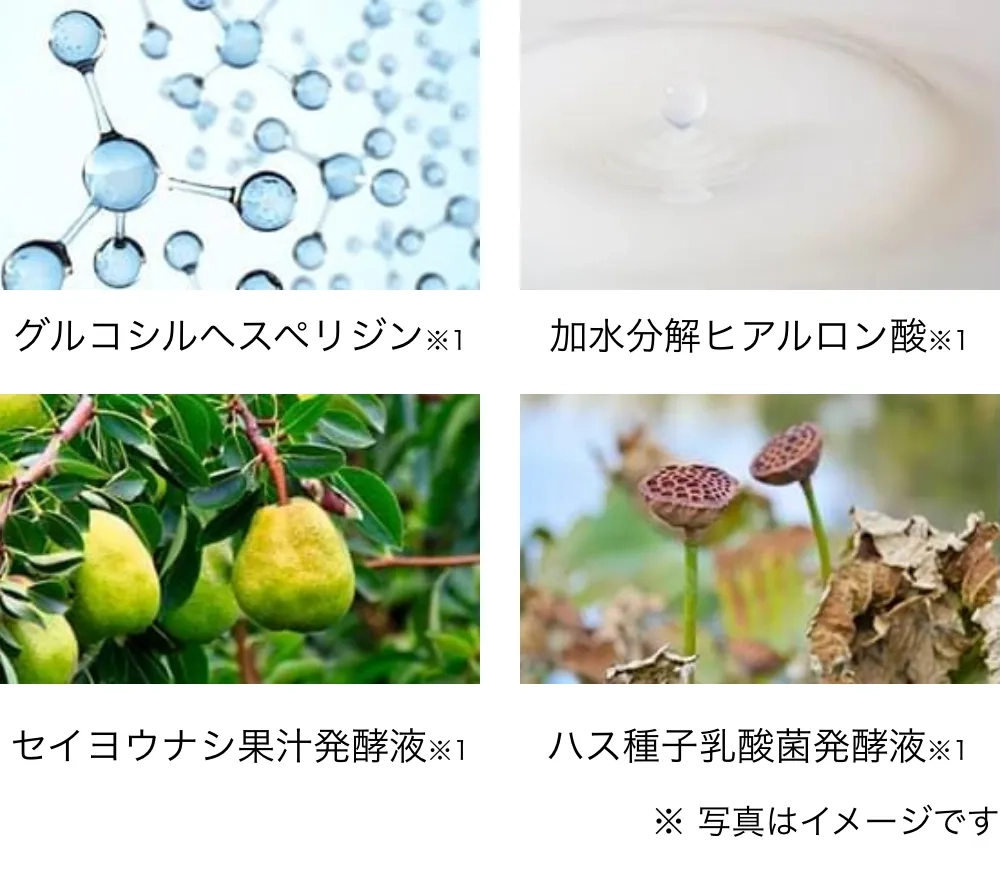 グルコシルヘスペリジン|加水分解ヒアルロン酸|セイヨウナシ果汁発酵液|ハス種子乳酸菌発酵液 | キューサイ【公式】通販サイト