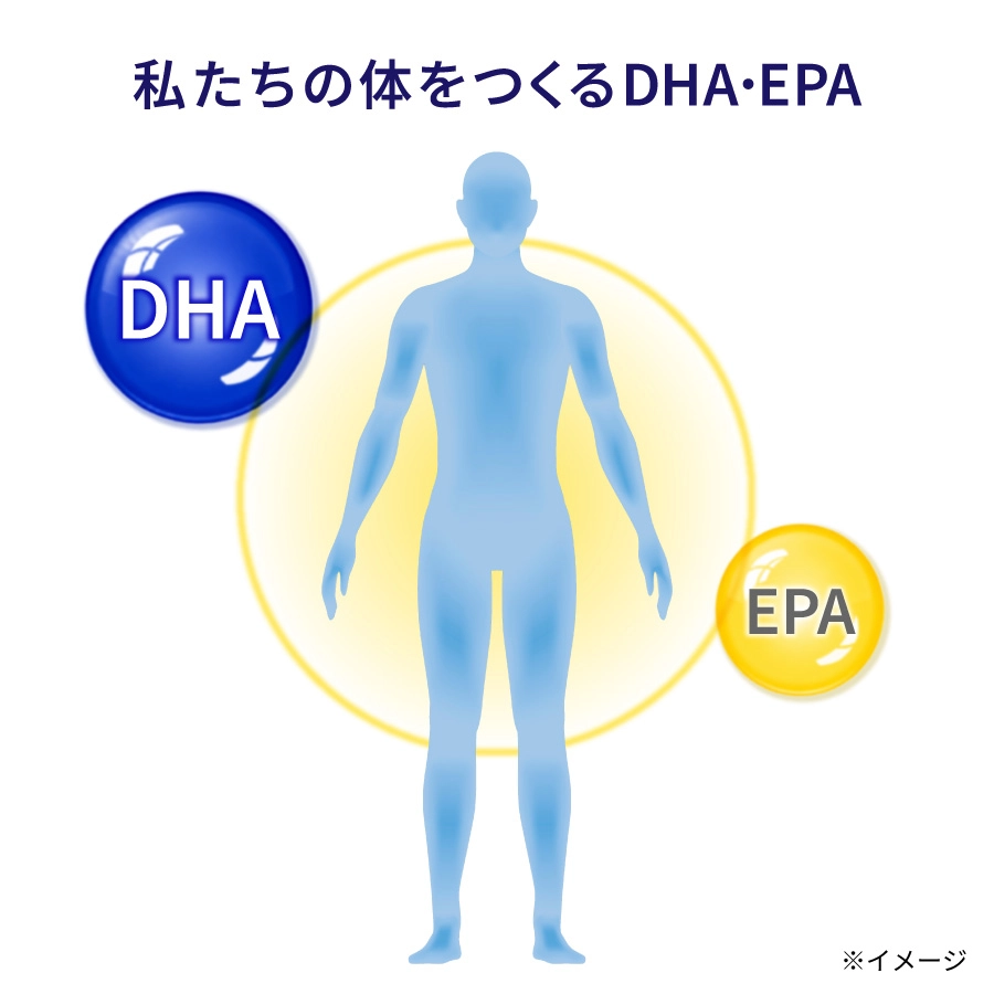 私たちの体をつくるDHA・EPA