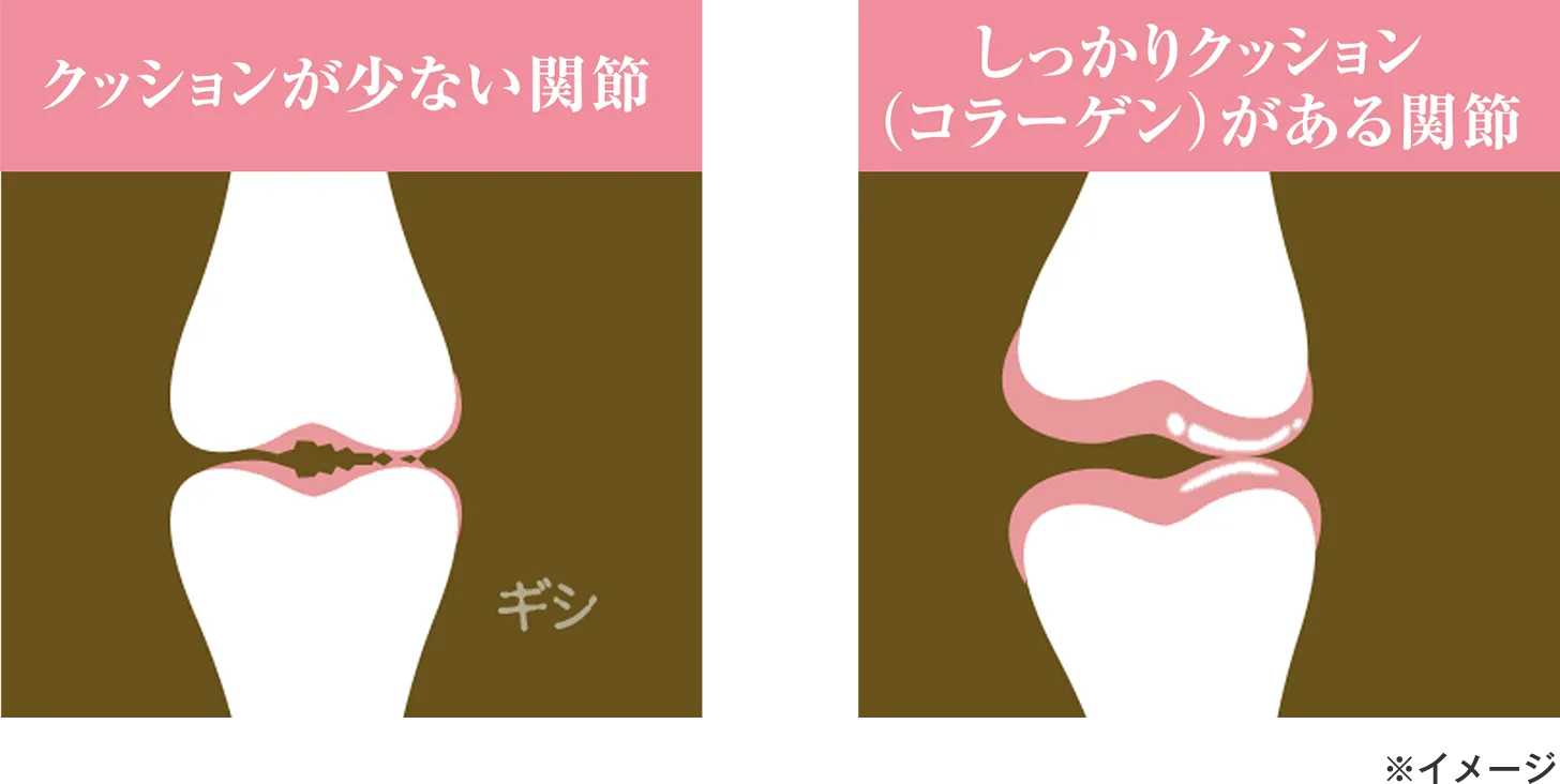 クッションが少ない関節|しっかりクッションがある関節 | キューサイ【公式】通販サイト
