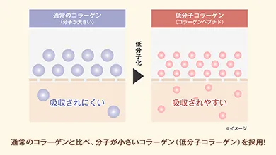 通常のコラーゲンと比べ、分子が小さいコラーゲンを採用 | キューサイ【公式】通販サイト