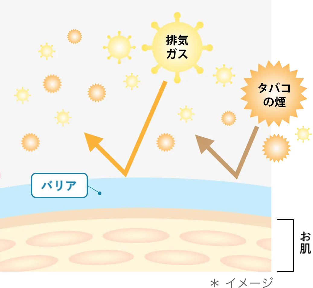 排気ガス|タバコの煙 | キューサイ【公式】通販サイト