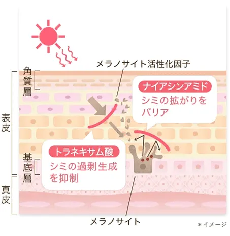 トラネキサム酸|ナイアシンアミド | キューサイ【公式】通販サイト