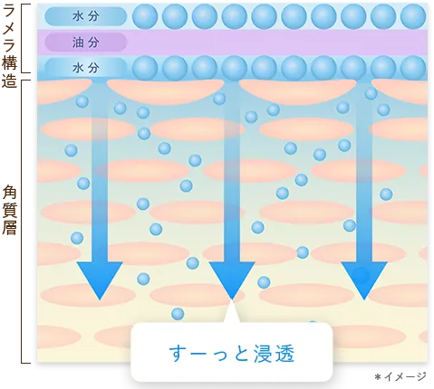 すーっと浸透 | キューサイ【公式】通販サイト