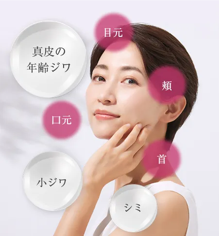 真皮の年齢ジワ|小ジワ|シミ | キューサイ【公式】通販サイト