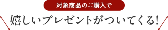 対象商品のご購入で嬉しいプレゼントがついてくる！