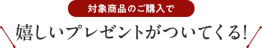 対象商品のご購入で嬉しいプレゼントがついてくる！