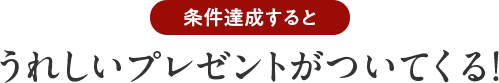 対象商品のご購入で嬉しいプレゼントがついてくる！