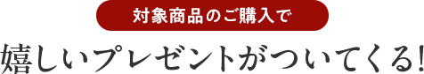 対象商品のご購入で嬉しいプレゼントがついてくる！