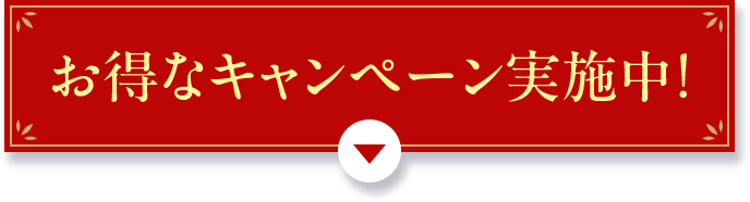 お得なキャンペーン実施中！