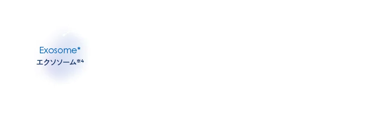エクソソーム