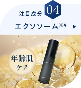 注目成分04 エクソソーム※4