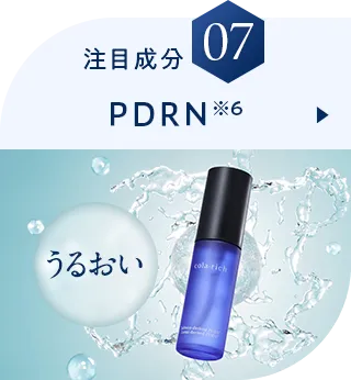 注目成分07 PDRN※6
