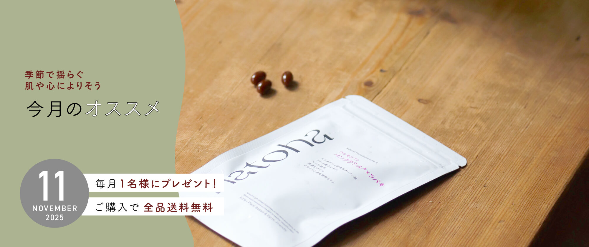 2025年11月のおすすめ