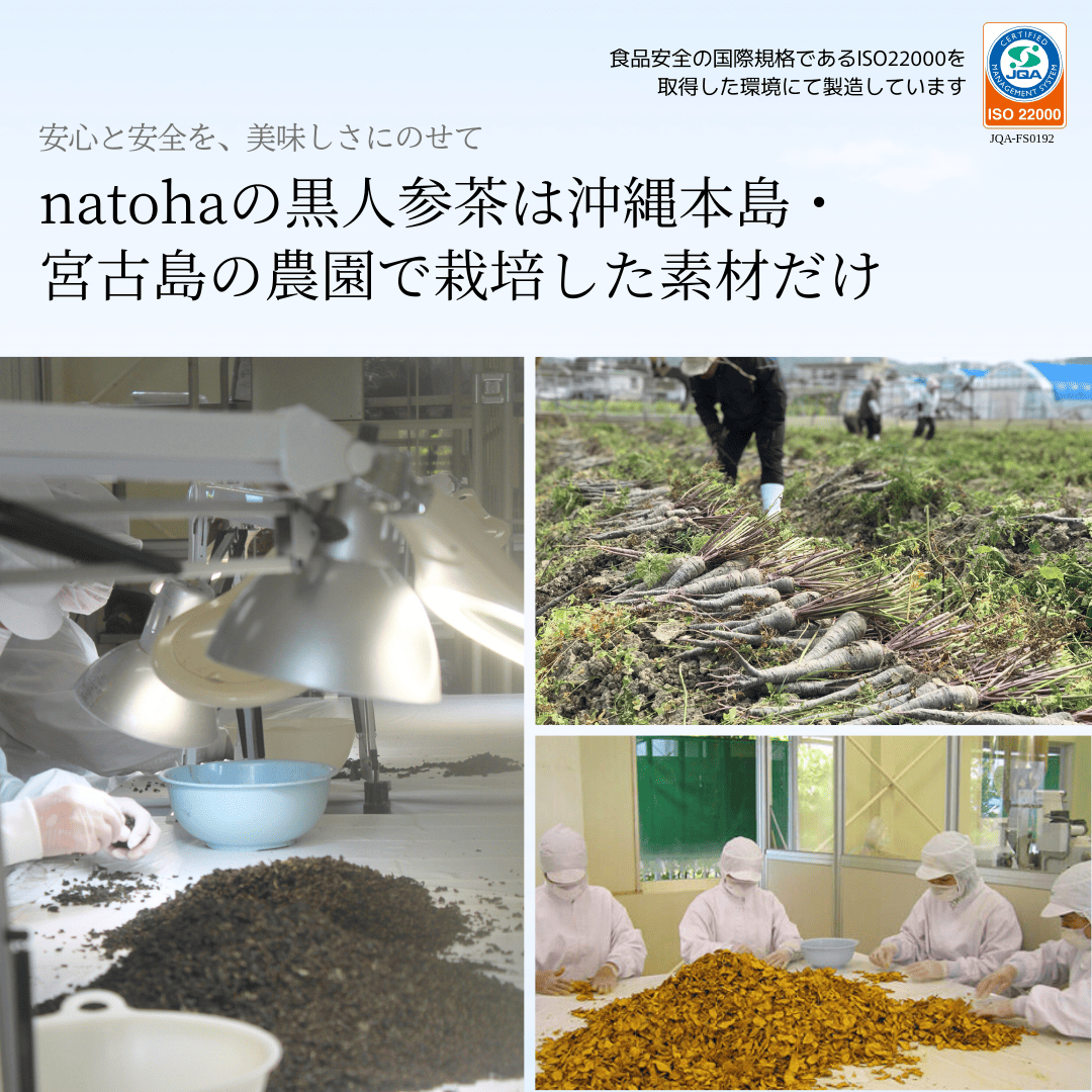 黒人参茶は100%沖縄産