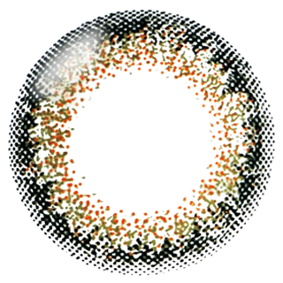 【1箱】ネオサイト2ウィークシエルUV シエルグリーン（6枚）