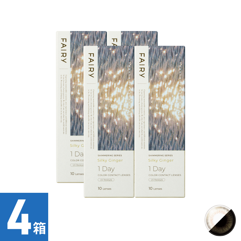 【4箱セット】フェアリーワンデーシマーリング シルキージンジャー（10枚）