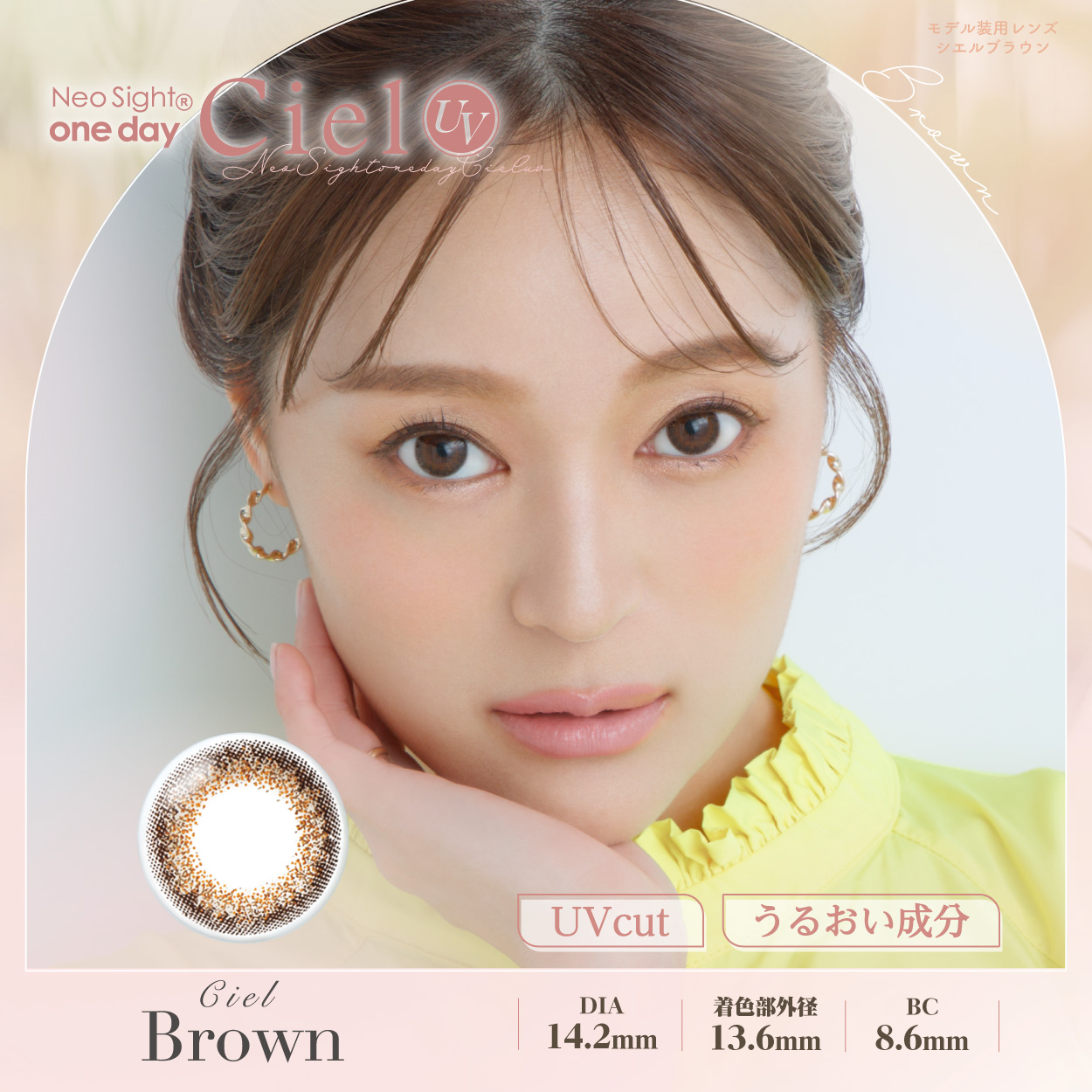 【6箱セット】ネオサイトワンデーシエルUV シエルブラウン（30枚）