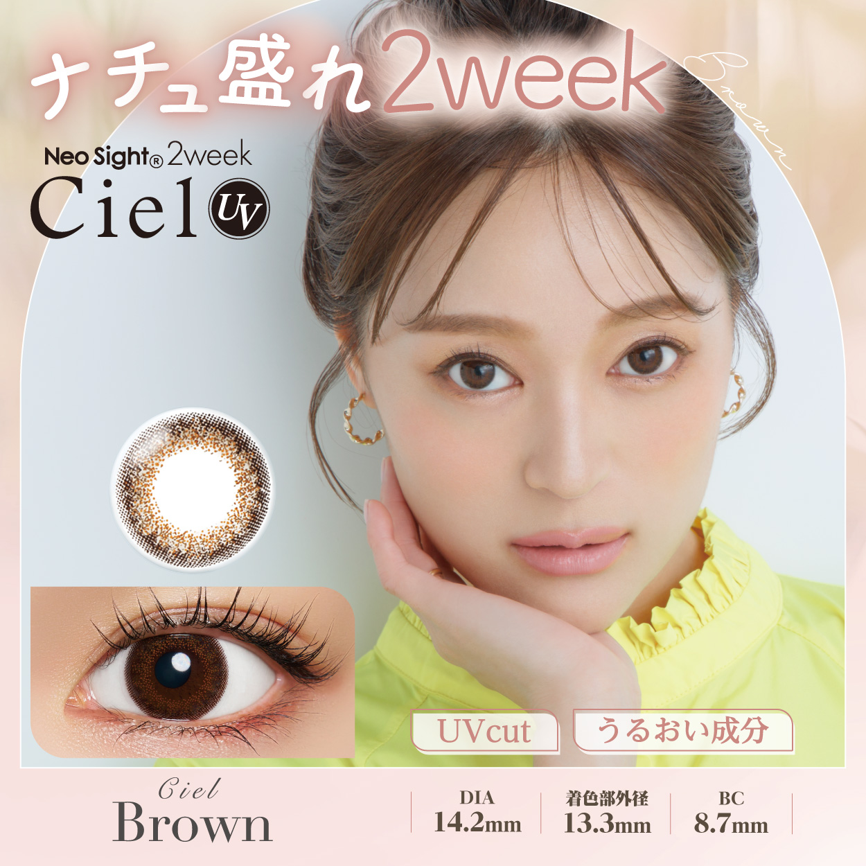 【1箱】ネオサイト2ウィークシエルUV シエルブラウン（6枚）