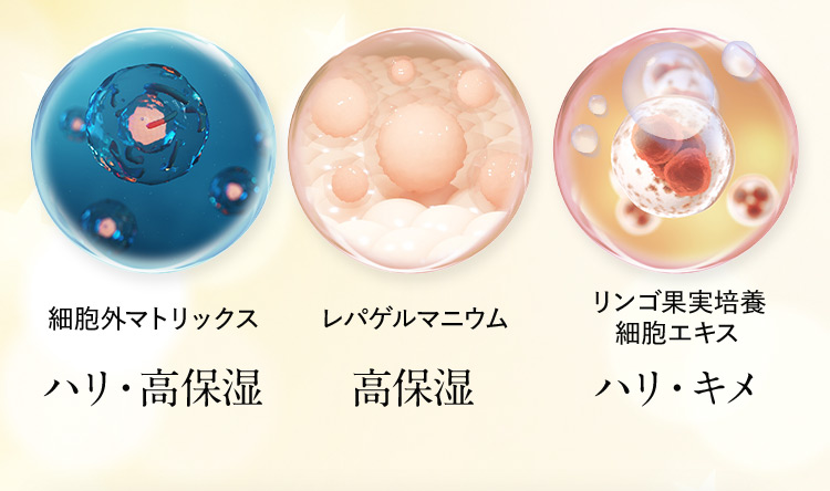 細胞外マトリックス ハリ・高保湿 レパゲルマニウム 高保湿 リンゴ果実培養細胞エキス ハリ・キメ