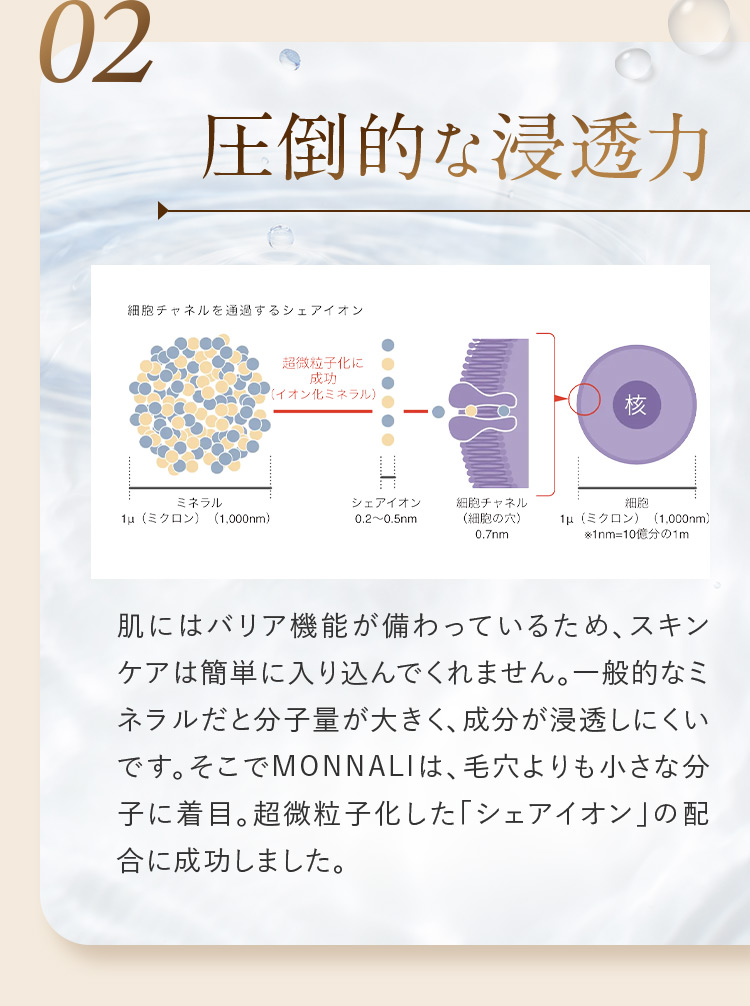 02 圧倒的な浸透力 分子の大きさの図 肌にはバリア機能が備わっているため、スキンケアは簡単に入り込んでくれません。一般的なミネラルだと分子量が大きく、成分が浸透しにくいです。そこでMONNALIは、毛穴よりも小さな分子に着目。超微粒子化した「シェアイオン」の配合に成功しました。
