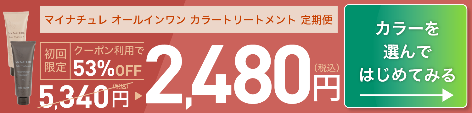 申し込み手続きに進む