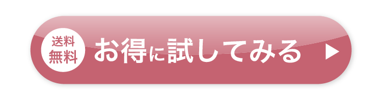 お得に試してみる
